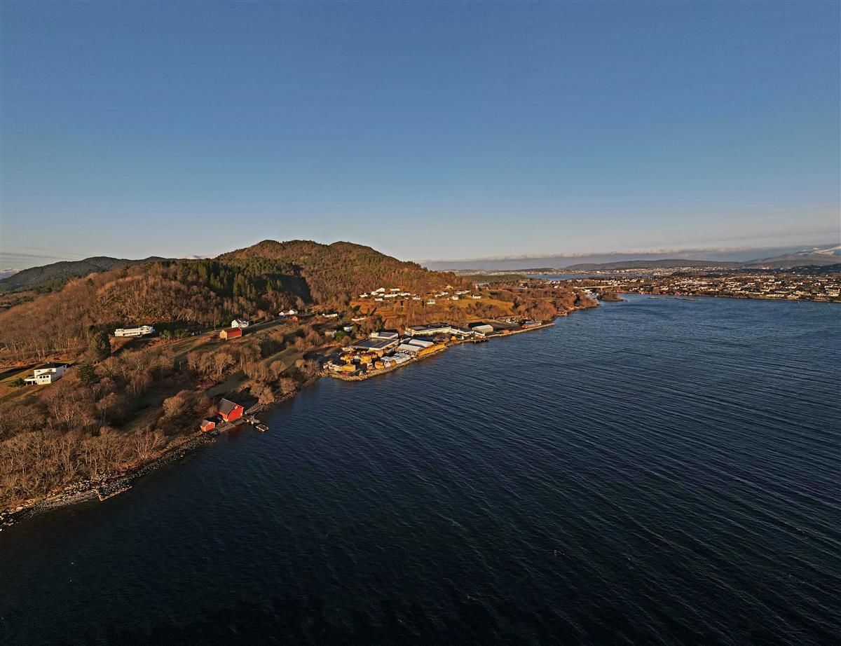 Dronefoto av Kongshaugstranda og natur - Klikk for stort bilete