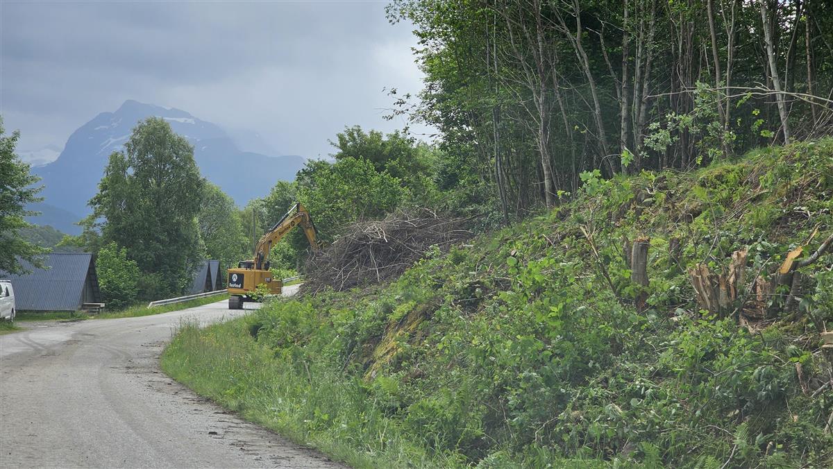 veg med gravemaskin og nykutta skog i vegkanten - Klikk for stort bilete